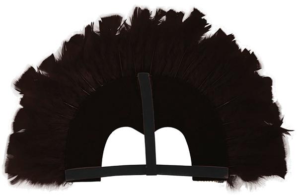 Grote foto zwarte tooi veren en glitters verzamelen overige verzamelingen