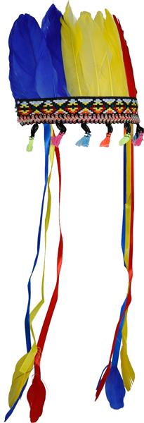 Grote foto indianentooi gekleurd veren verzamelen overige verzamelingen