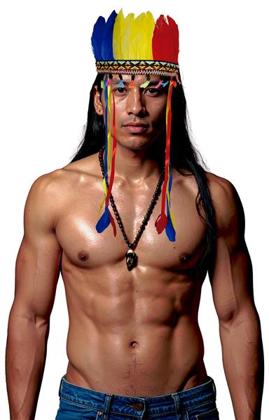 Grote foto indianentooi gekleurd veren verzamelen overige verzamelingen