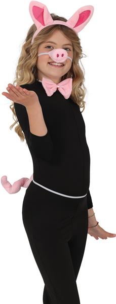 Grote foto varken verkleedset 5 delig verzamelen overige verzamelingen