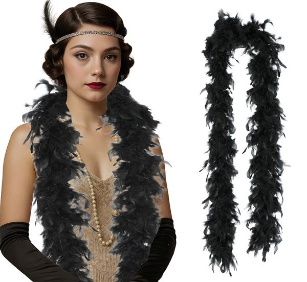 Grote foto zwarte boa veren 80gr verzamelen overige verzamelingen