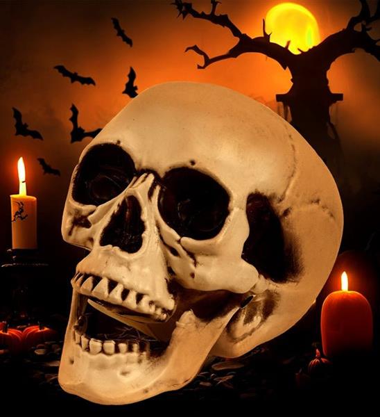 Grote foto halloween schedel met beweegbare kaak 12cm verzamelen overige verzamelingen