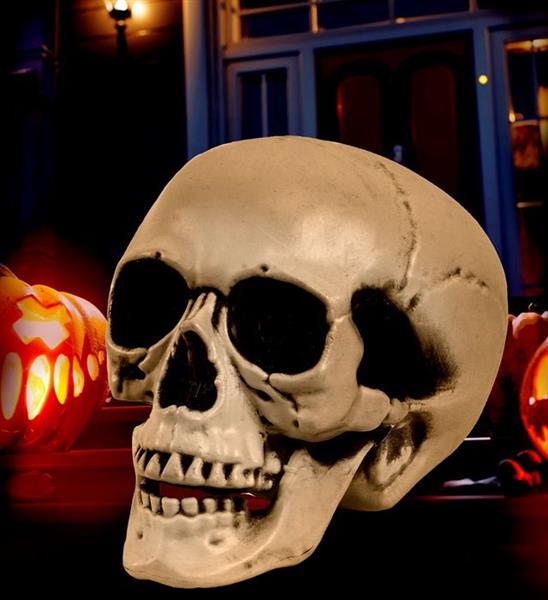 Grote foto halloween schedel met beweegbare kaak 12cm verzamelen overige verzamelingen