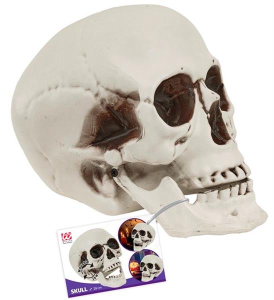 Grote foto halloween schedel met beweegbare kaak 28cm verzamelen overige verzamelingen