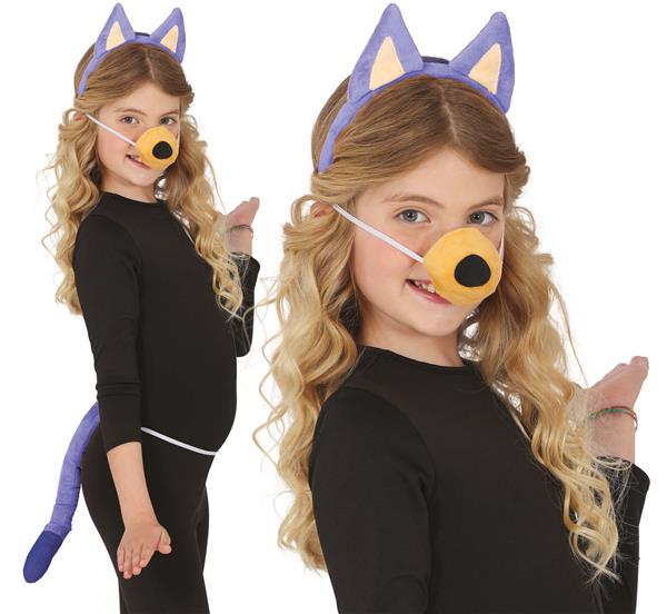 Grote foto hond verkleedset blauw 3 delig verzamelen overige verzamelingen