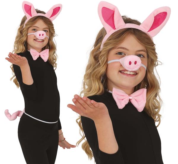 Grote foto varken verkleedset 5 delig verzamelen overige verzamelingen