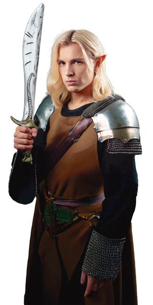 Grote foto zilveren nep zwaard 68cm verzamelen overige verzamelingen