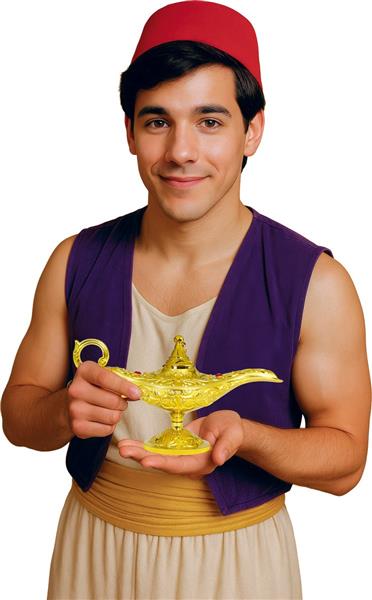 Grote foto aladdin lamp 21cm verzamelen overige verzamelingen