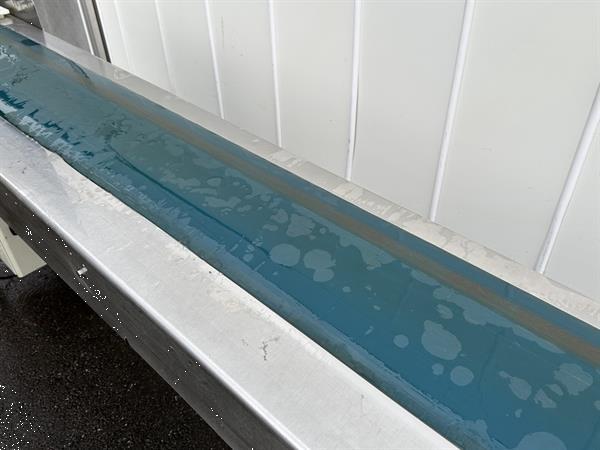 Grote foto transportband roestvrij staal 300 x 26 cm agrarisch transportbanden