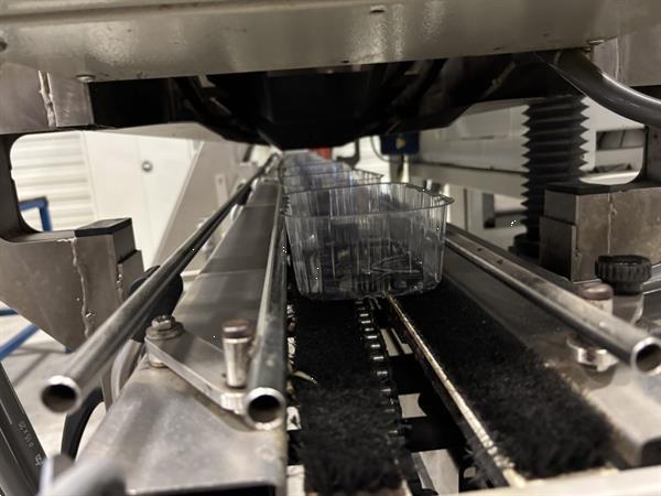 Grote foto sorma w12 126 afweegmachine met elevator punnet ontnester en vuller agrarisch tuinbouw