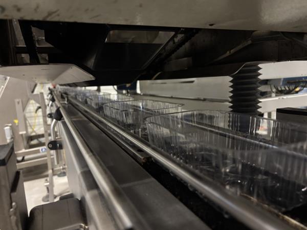 Grote foto sorma w12 126 afweegmachine met elevator punnet ontnester en vuller agrarisch tuinbouw