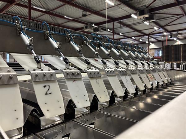 Grote foto sorma w12 126 afweegmachine met elevator punnet ontnester en vuller agrarisch tuinbouw