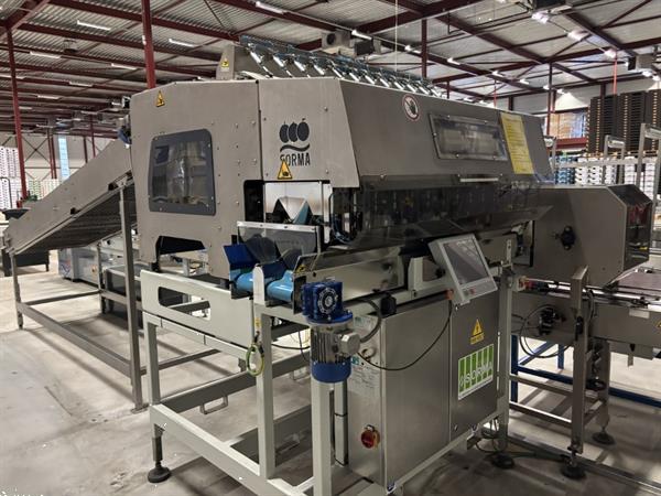 Grote foto sorma w12 126 afweegmachine met elevator punnet ontnester en vuller agrarisch tuinbouw