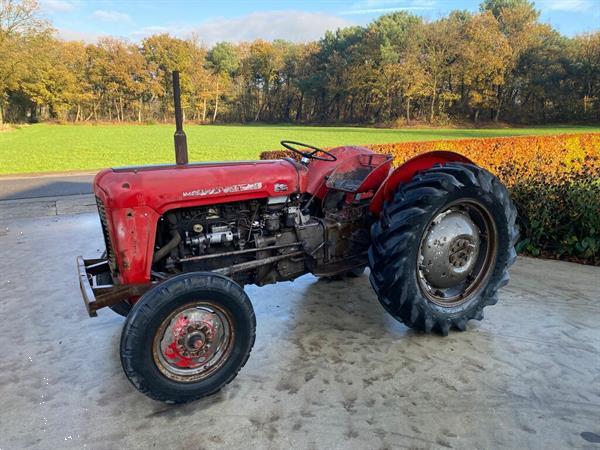 Grote foto massey ferguson 35 tractor 4 cilinder marge agrarisch tractoren