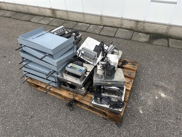 Grote foto aweta gm3 10 paprikasorteermachine met toevoerband agrarisch tuinbouw