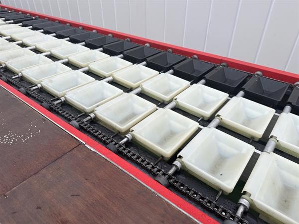 Grote foto aweta gm3 10 paprikasorteermachine met toevoerband agrarisch tuinbouw