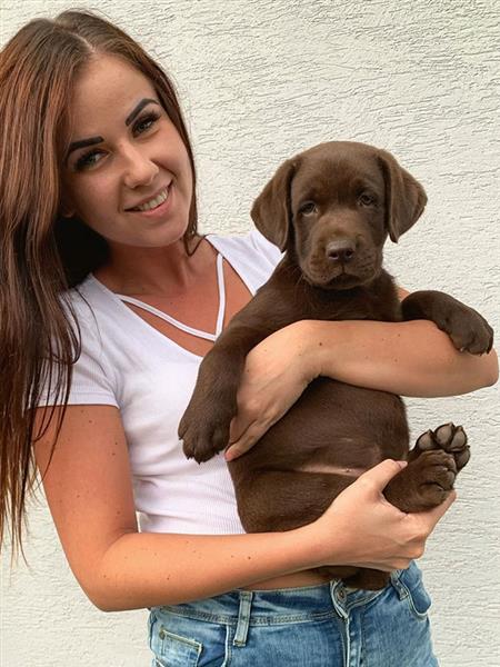 Grote foto single zoekt lieve eerlijke man contacten en berichten vrouw zoekt man