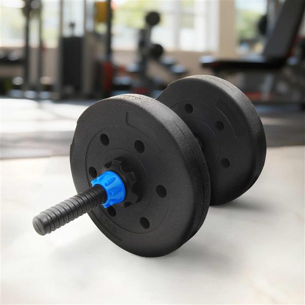 Grote foto vidaxl gewicht platen 4 pcs zwart 21.5 x 3.8 cm sport en fitness fitness