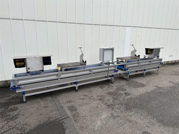 Grote foto att bloemenverwerkingslijn met ontbladeren en afsnijden agrarisch tuinbouw