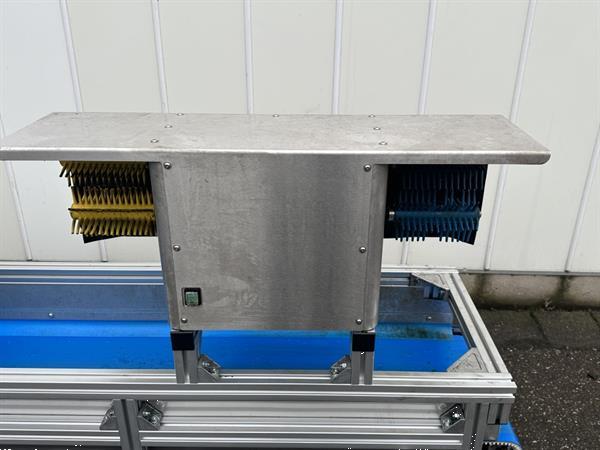 Grote foto att bloemenverwerkingslijn met ontbladeren en afsnijden agrarisch tuinbouw