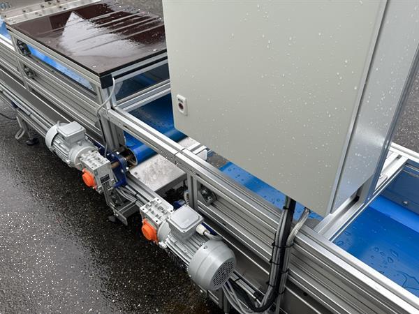 Grote foto att bloemenverwerkingslijn met ontbladeren en afsnijden agrarisch tuinbouw