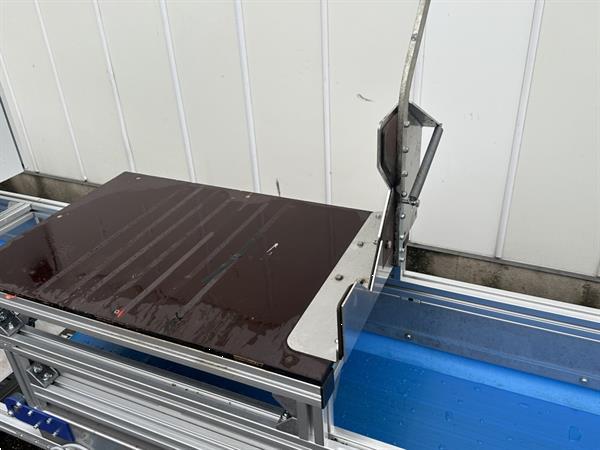 Grote foto att bloemenverwerkingslijn met ontbladeren en afsnijden agrarisch tuinbouw