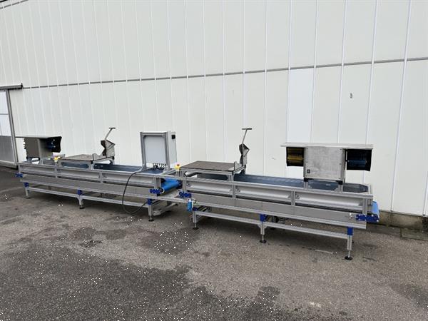 Grote foto att bloemenverwerkingslijn met ontbladeren en afsnijden agrarisch tuinbouw