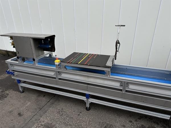 Grote foto att bloemenverwerkingslijn met ontbladeren en afsnijden agrarisch tuinbouw