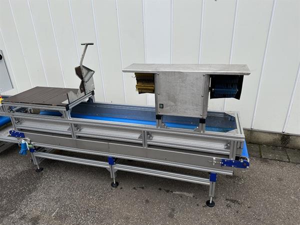 Grote foto att bloemenverwerkingslijn met ontbladeren en afsnijden agrarisch tuinbouw