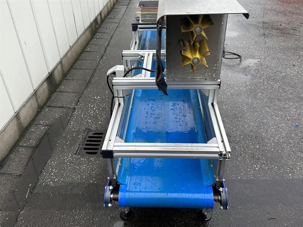 Grote foto att bloemenverwerkingslijn met ontbladeren en afsnijden agrarisch tuinbouw