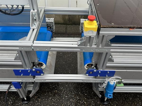 Grote foto att bloemenverwerkingslijn met ontbladeren en afsnijden agrarisch tuinbouw