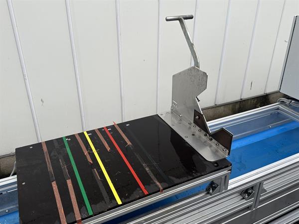 Grote foto att bloemenverwerkingslijn met ontbladeren en afsnijden agrarisch tuinbouw