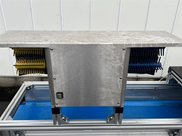 Grote foto att bloemenverwerkingslijn met ontbladeren en afsnijden agrarisch tuinbouw