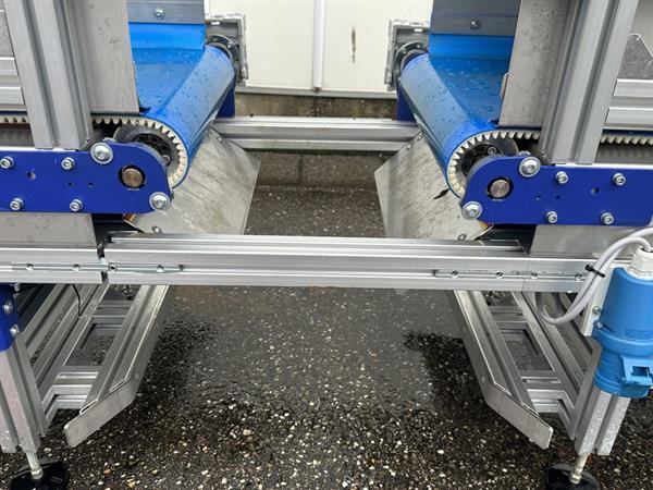 Grote foto att bloemenverwerkingslijn met ontbladeren en afsnijden agrarisch tuinbouw