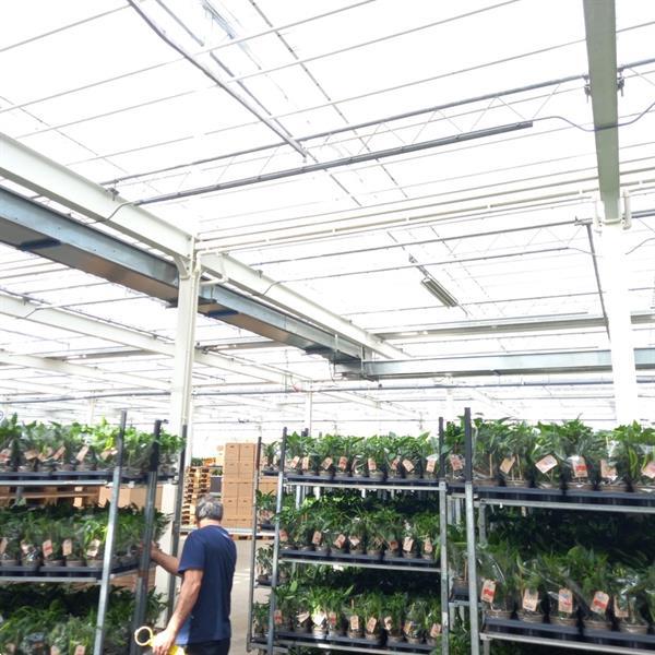 Grote foto transportband circa 1800 cm x 50 cm agrarisch transportbanden