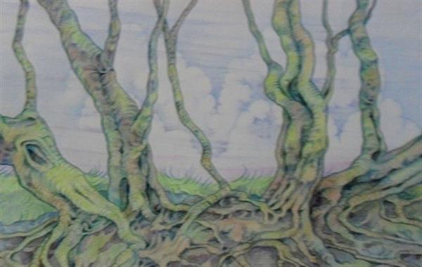 Grote foto kunsthandel gennep bomen en wortels antiek en kunst modern