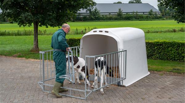 Grote foto calfotel xl 2 met drempel 4 delig hekwerk en 2 emmerringen dieren en toebehoren runderen