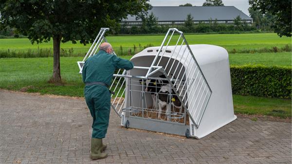 Grote foto calfotel xl 2 met drempel 4 delig hekwerk en 2 emmerringen dieren en toebehoren runderen