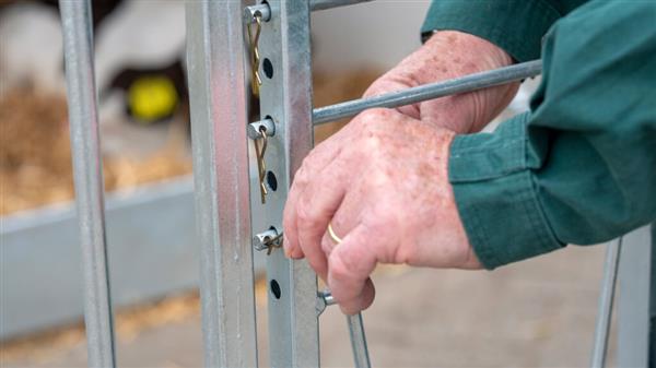 Grote foto calfotel xl 2 met drempel 4 delig hekwerk en 2 emmerringen dieren en toebehoren runderen