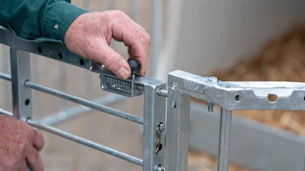 Grote foto calfotel xl 2 met drempel 4 delig hekwerk en 2 emmerringen dieren en toebehoren runderen