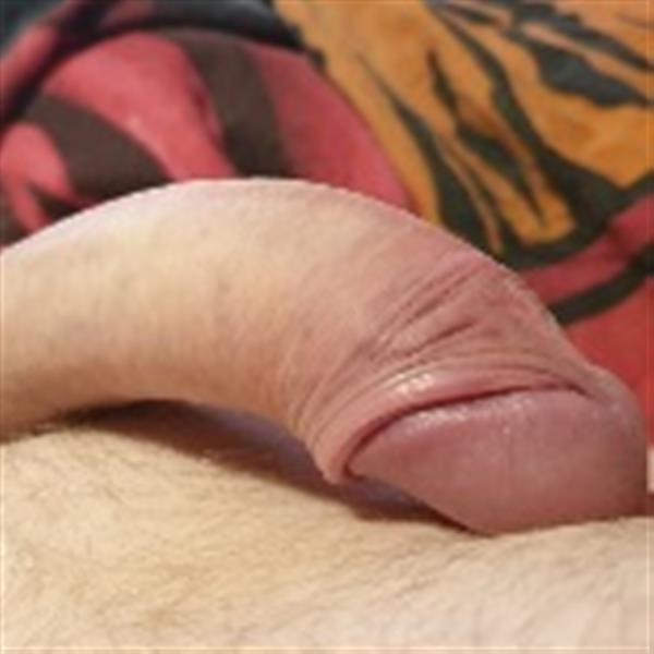 Grote foto sex moet ook leuk zijn en super erotiek man zoekt vrouw