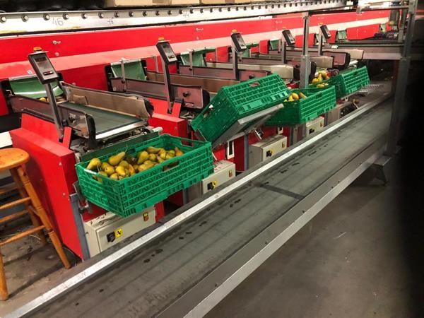 Grote foto aweta af 50 kistenvuller voor kleine dozen agrarisch kisten