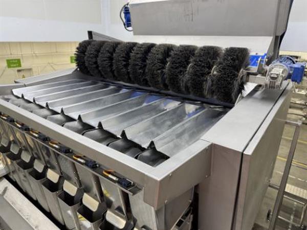 Grote foto newtec 4009 b2 afweegmachine met 1 netverpakkingsmachine elevator en rollenleesband agrarisch tuinbouw