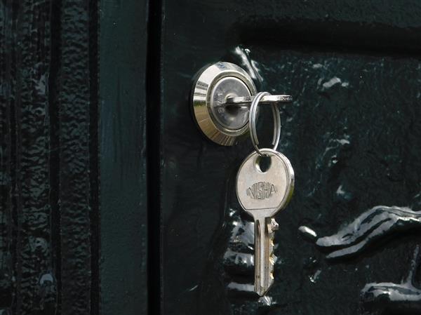 Grote foto brievenbus alu donkergroen laatste tuin en terras overige tuin en terras
