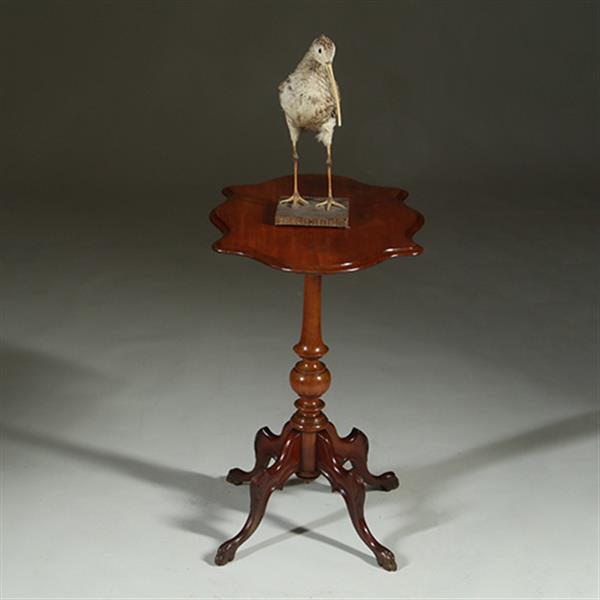 Grote foto willem iii wijntafel mahonie met geschulpt ovaal blad ca 1880 no.361855 antiek en kunst stoelen en banken