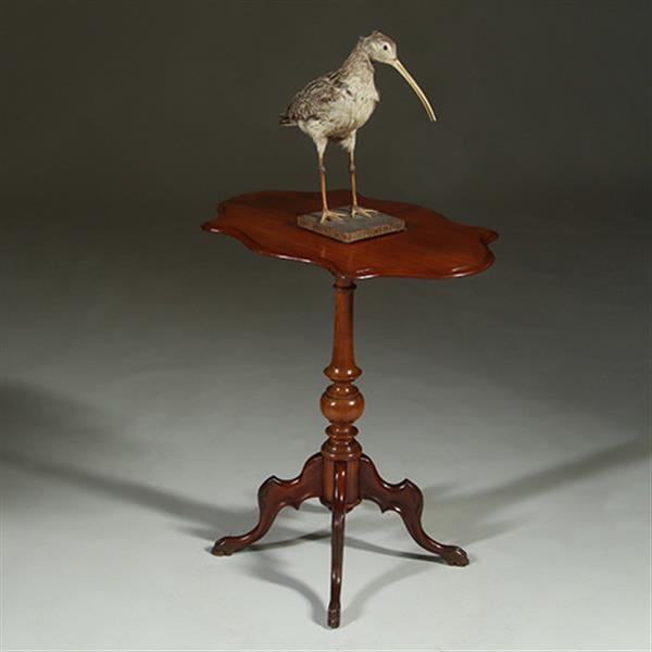 Grote foto willem iii wijntafel mahonie met geschulpt ovaal blad ca 1880 no.361855 antiek en kunst stoelen en banken