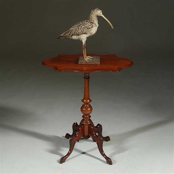 Grote foto willem iii wijntafel mahonie met geschulpt ovaal blad ca 1880 no.361855 antiek en kunst stoelen en banken