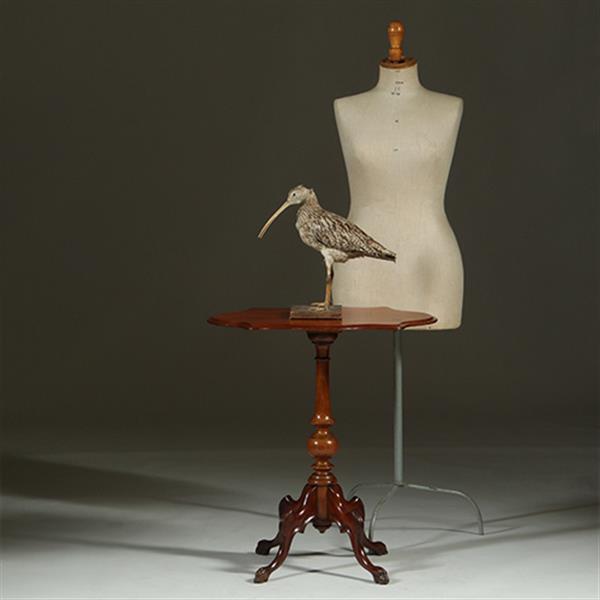 Grote foto willem iii wijntafel mahonie met geschulpt ovaal blad ca 1880 no.361855 antiek en kunst stoelen en banken