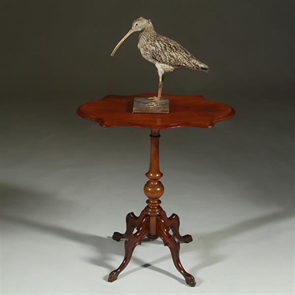 Grote foto willem iii wijntafel mahonie met geschulpt ovaal blad ca 1880 no.361855 antiek en kunst stoelen en banken