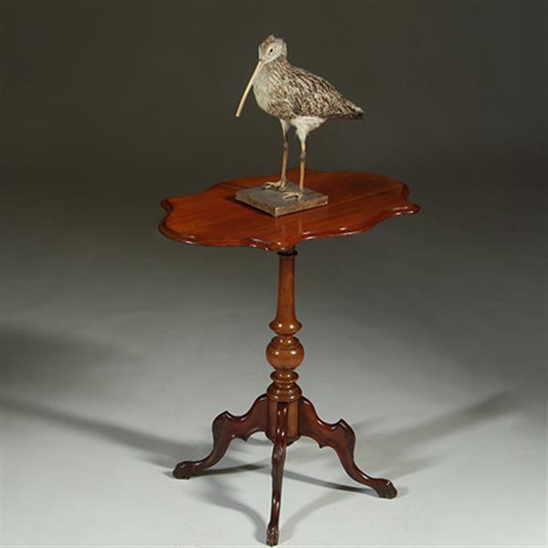 Grote foto willem iii wijntafel mahonie met geschulpt ovaal blad ca 1880 no.361855 antiek en kunst stoelen en banken